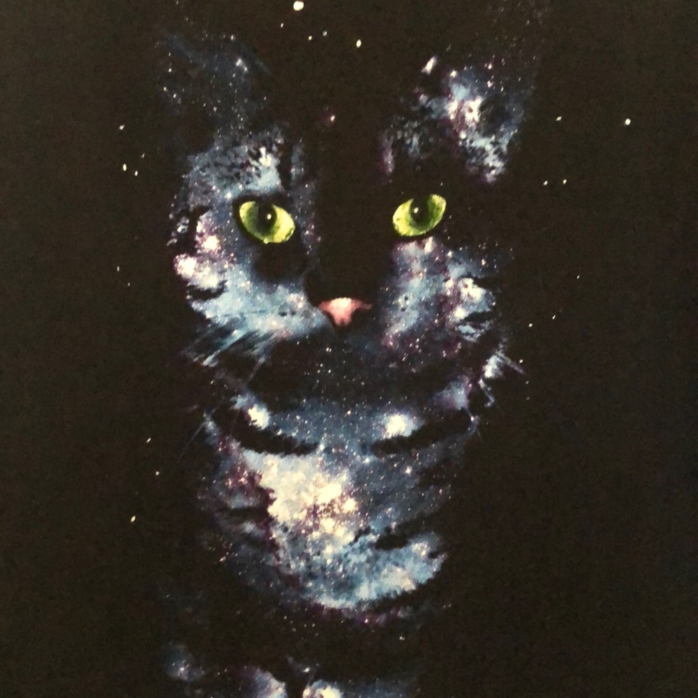 Black T-shirt “Galaxy Cat” Size Large 100% Cotton